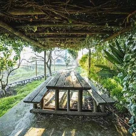 Сasa de vacaciones Moinho Do Lebre