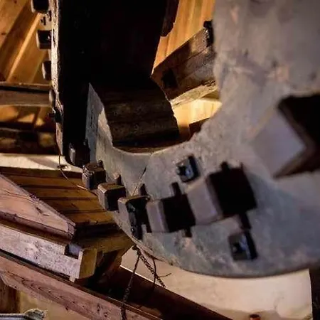 Hébergement de vacances Moinho Do Lebre *