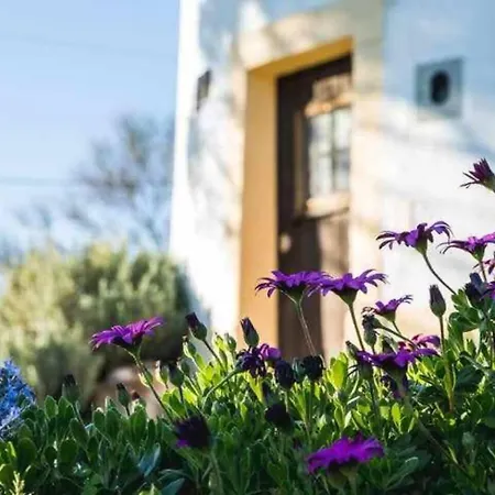 Casa vacanze Moinho Do Lebre Alenquer